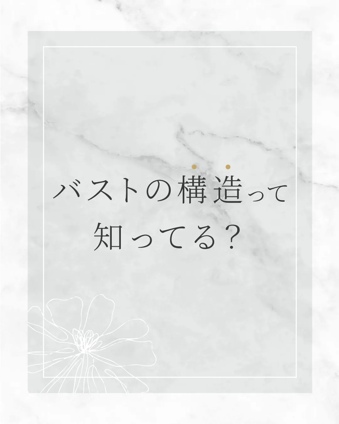 バストの構造って知ってる？