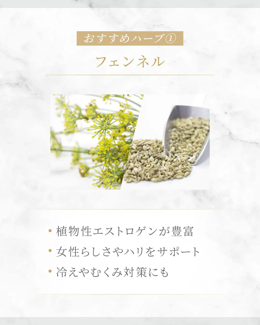 バストアップとハーブティーの関係