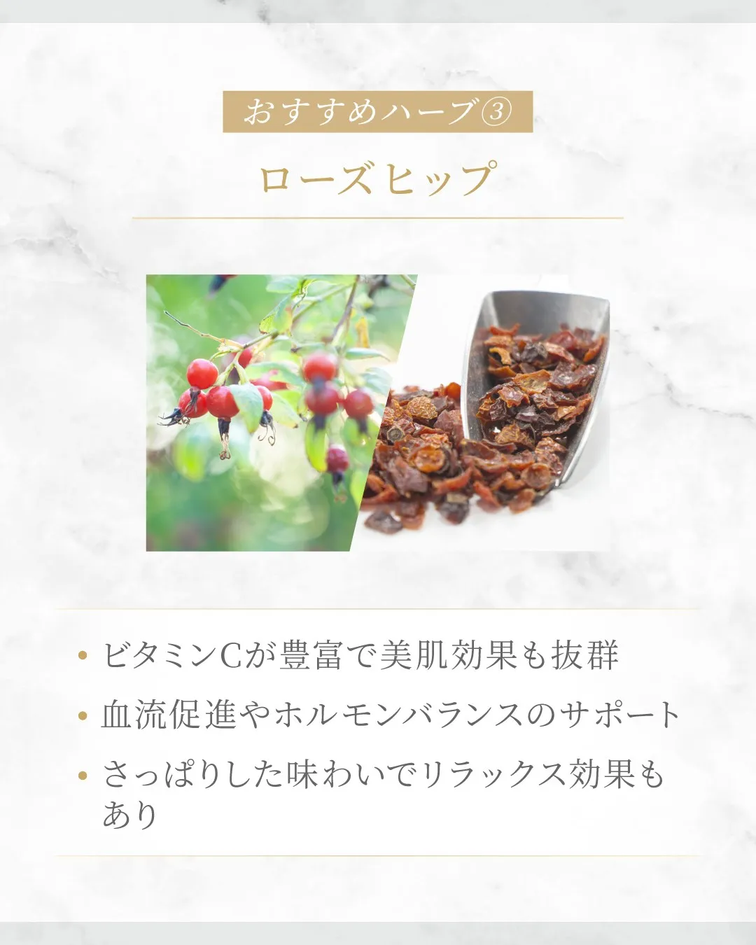 バストアップとハーブティーの関係